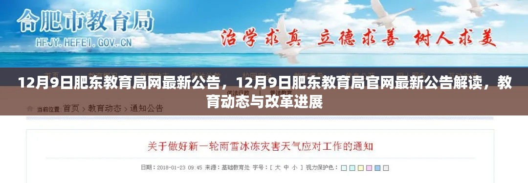 肥东教育局最新公告解读,教育动态与改革进展揭秘
