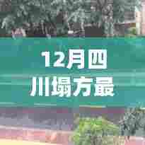 四川塌方事件最新进展及应对指南,全面了解塌方的步骤与应对方法