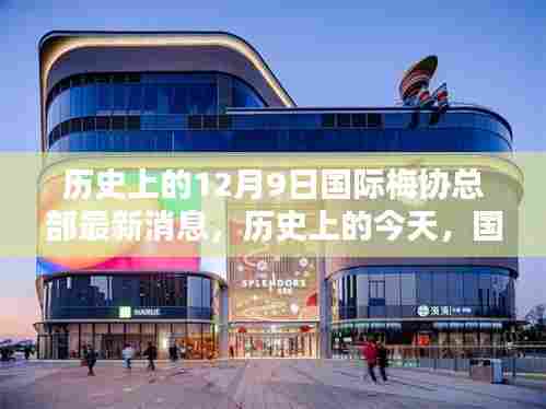 国际梅协总部宣布探索自然美景之旅,启程寻找内心的宁静乐园,历史上的今天最新消息