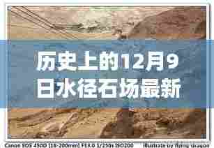 炙手可热 第6页