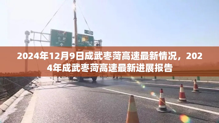 2024年成武枣菏高速最新进展报告，12月9日最新情况分析