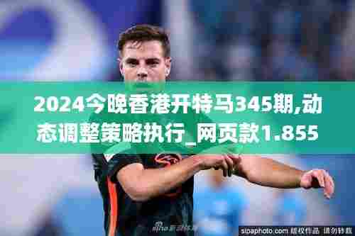 2024今晚香港开特马345期,动态调整策略执行_网页款1.855