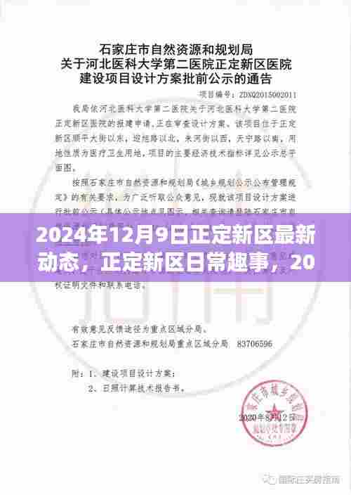 2024年12月9日正定新区最新动态与温馨时光