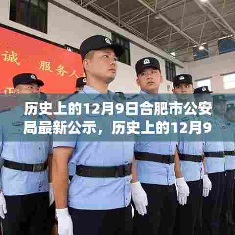 历史上的12月9日合肥市公安局最新公示及其多维度解读与观点碰撞