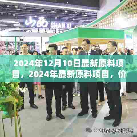 价值挖掘与挑战并存,最新原料项目的未来展望(2024年)
