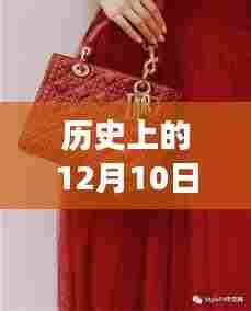 探索迪奥包包背后的故事，与自然美景共舞，开启寻找内心宁静之旅的12月10日最新篇章