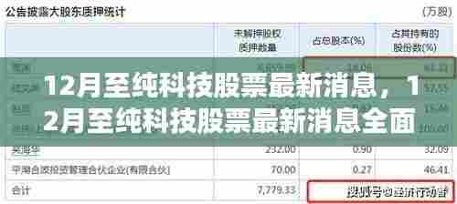 掌握最新动态,全面解析至纯科技股票最新消息与趋势分析(12月版)