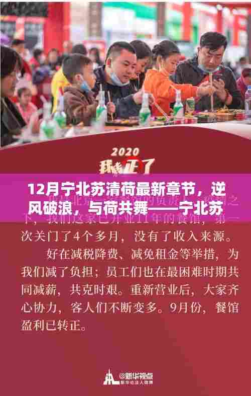 逆风破浪，与荷共舞，宁北苏清荷最新章节启示录