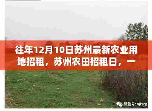 苏州农田招租日，温馨寻地之旅开启