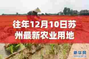 苏州农田招租日,温馨寻地之旅开启