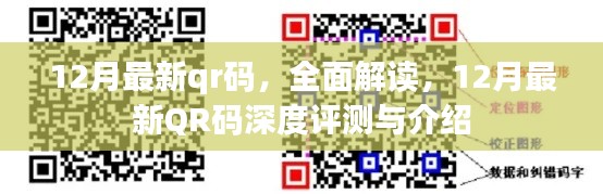 12月最新QR码深度解读与评测指南