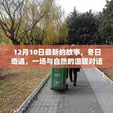 冬日奇遇，与自然对话，探寻内心宁静的旅程