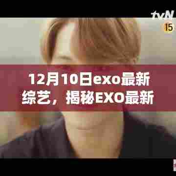 揭秘EXO最新综艺节目,科技新星引领未来生活潮流的全新智能体验