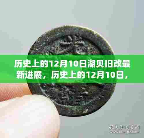 湖贝旧改最新进展，历史视角下的进展详解与操作指南（12月10日更新）