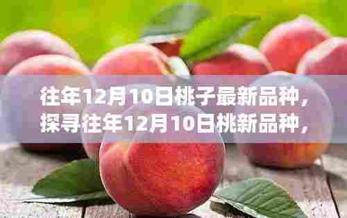 深度探寻，历年12月10日桃子新品种解析