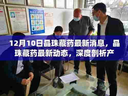 晶珠藏药最新动态，深度解析产品特性与用户体验报告