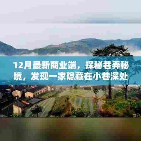 探秘巷弄秘境,发现隐藏小巷的特色小店,领略商业新风尚