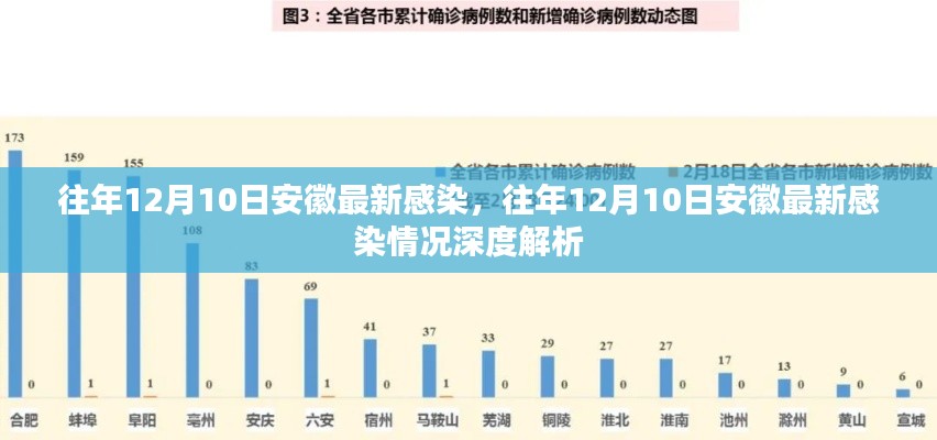 往年12月10日安徽最新感染深度解析报告