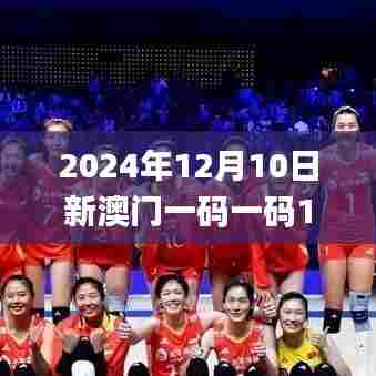 2024年12月10日新澳门一码一码100准确,计划反馈执行_DX版13.419