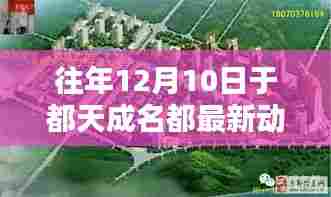 探秘都天成名都隐藏式特色小店,最新动态与惊喜