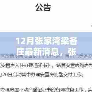 张家湾梁各庄12月最新动态深度评测与最新消息汇总