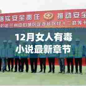 十二月女人有毒最新章节深度解析与书评热议
