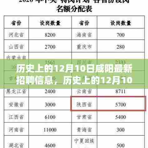 历史上的12月10日咸阳招聘信息概览，深度分析与观点阐述