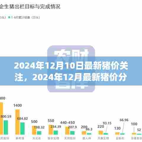 2024年12月最新猪价分析与展望，深度关注未来走势