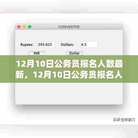 12月10日公务员报名最新统计与初学者报名全程指南