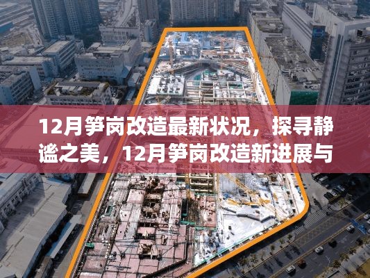 探寻静谧之美,12月笋岗改造最新进展与心灵之旅