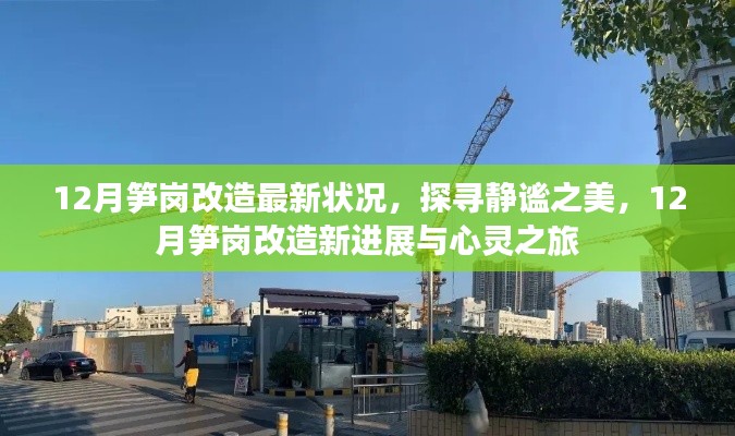 展翅欲飞 第7页