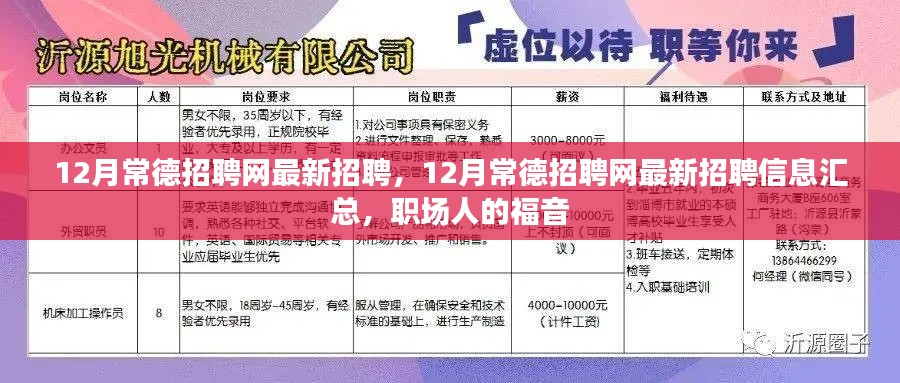 12月常德招聘网最新招聘信息汇总，职场人的福音