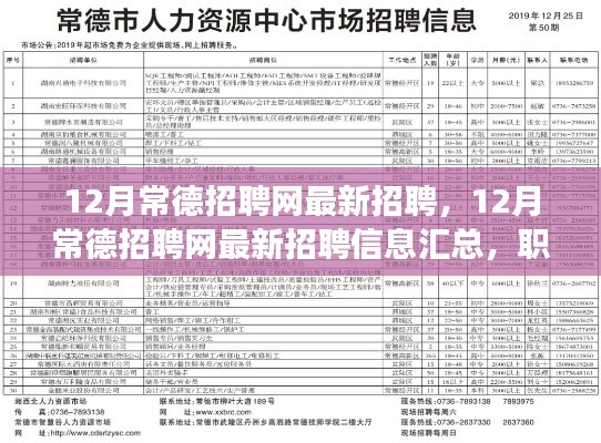 12月常德招聘网最新招聘信息汇总,职场人的福音