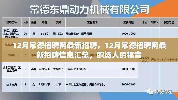 12月常德招聘网最新招聘信息汇总,职场人的福音