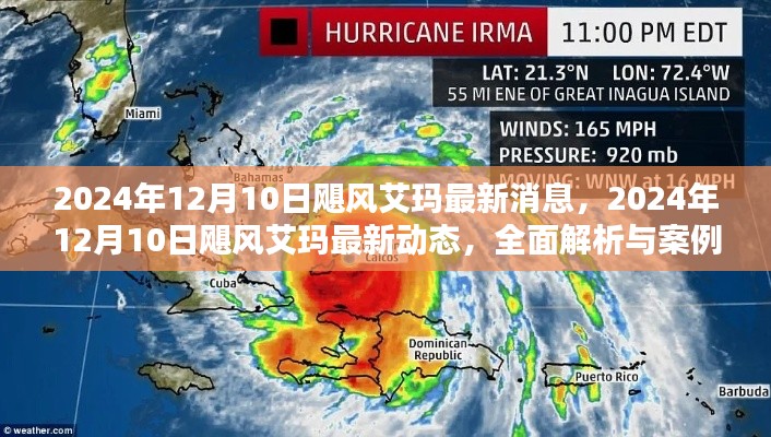 飓风艾玛最新动态解析与案例分析，2024年12月10日更新