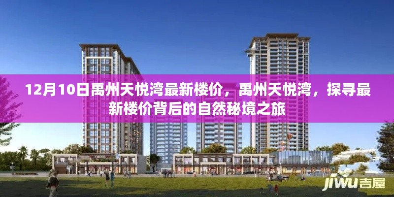 禹州天悦湾最新楼价揭秘,探寻自然秘境之旅的置业指南(日期,12月10日)