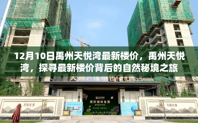 禹州天悦湾最新楼价揭秘,探寻自然秘境之旅的置业指南(日期,12月10日)