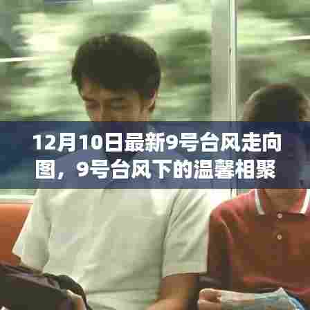 9号台风下的家庭故事，温馨相聚与走向图的背后