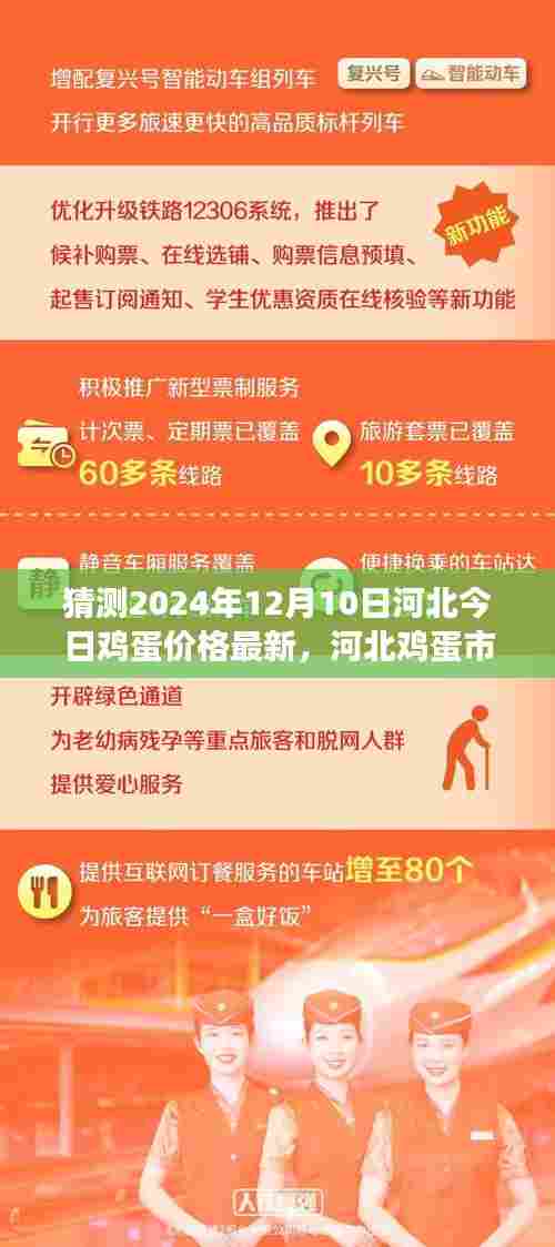 河北鸡蛋市场风云变幻，最新鸡蛋价格预测及未来影响分析