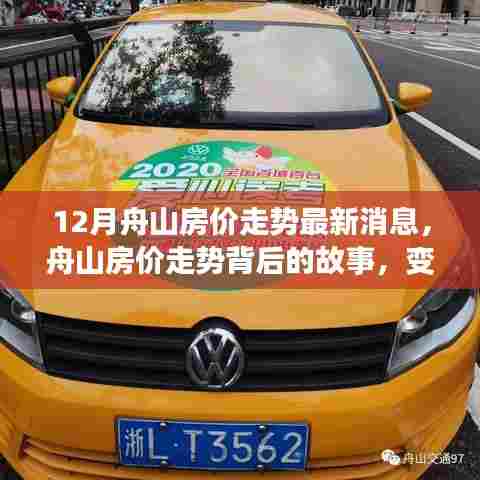 舟山房价走势揭秘，自信与成就感的崛起背后的故事与变化学习之路