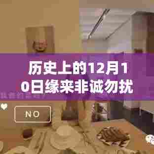 历史上的12月10日,非诚勿扰科技新品盛宴,领略未来生活新纪元!