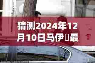 马伊琍最新金句探秘，小巷深处的独特小店背后的故事，2024年12月10日预测揭秘