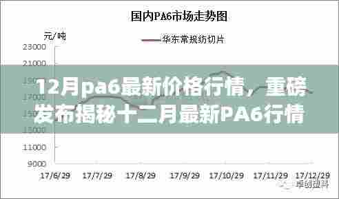揭秘十二月最新PA6行情,尖端科技重塑生活,智能时代体验升级!