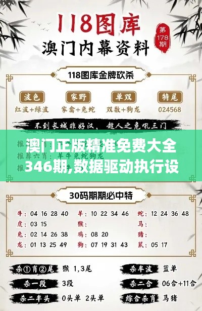 澳门正版精准免费大全346期,数据驱动执行设计_领航版3.819