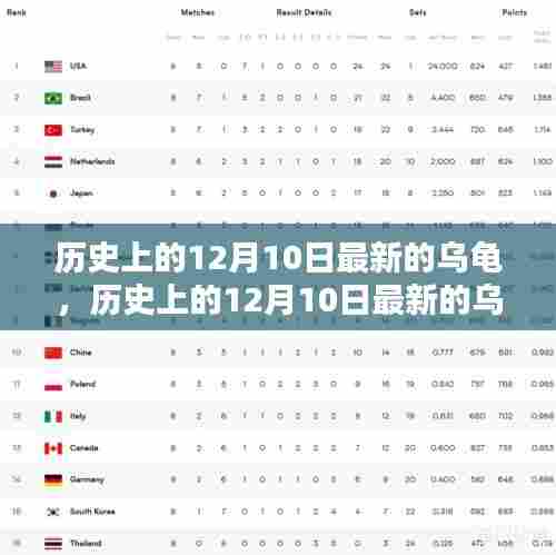 历史上的12月10日全新乌龟产品全面评测与介绍