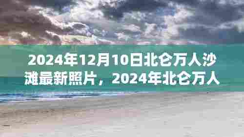 北仑万人沙滩最新照片曝光，全面评测与介绍