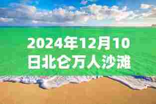 北仑万人沙滩最新照片曝光,全面评测与介绍