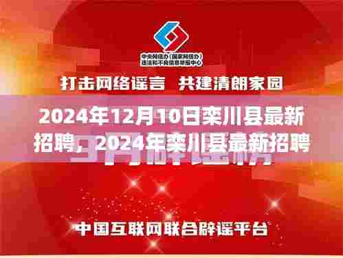 2024年栾川县最新招聘趋势及职业机会探索，12月10日招聘信息一览