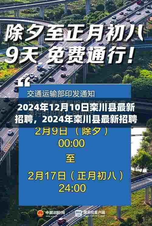 2024年栾川县最新招聘趋势及职业机会探索,12月10日招聘信息一览