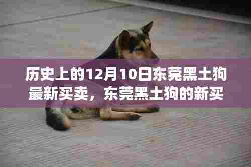 东莞黑土狗新买卖，绿色探险之旅寻找内心平静